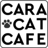 Cara Cat Cafe（保護活動者）