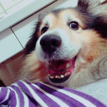 笑い顔