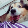 笑い顔