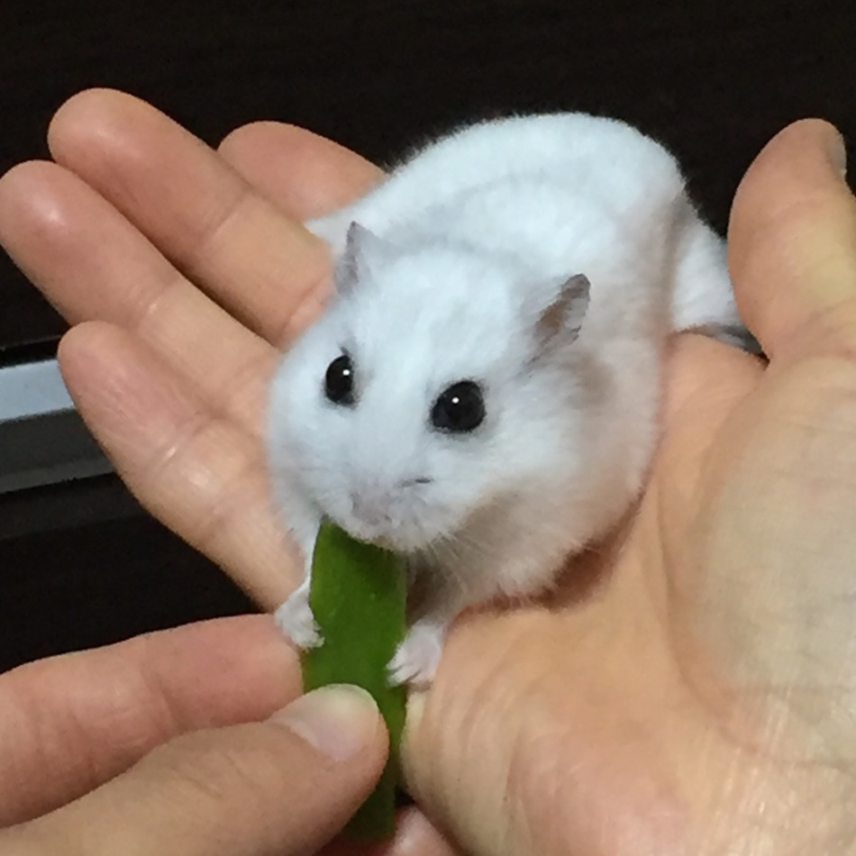 ソウルのカバー写真