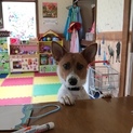 この場にて御報告