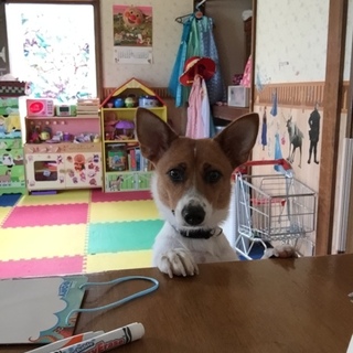 この場にて御報告