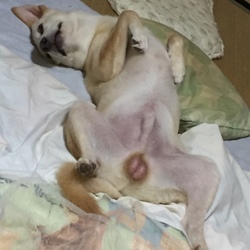 相変わらずです