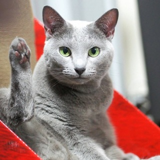 良い方に巡り会えました！