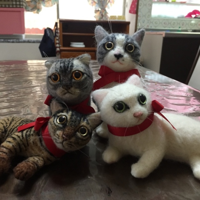 コンちゅけのカバー写真