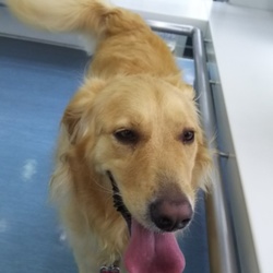 「膀胱炎」サムネイル1