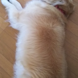 「膀胱炎」サムネイル3