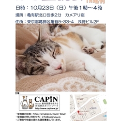 CAPIN ねこ里親会in亀有