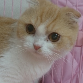 応募多数のため、一旦募集停止いたします。