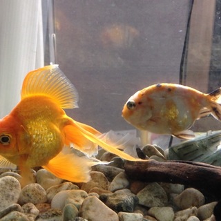 多数のご応募有難う御座いました。