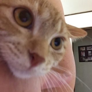 ありがとうございました