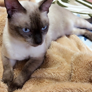 人懐こくいい子です