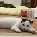 優しいシャイboyたっくん(*^^*)
