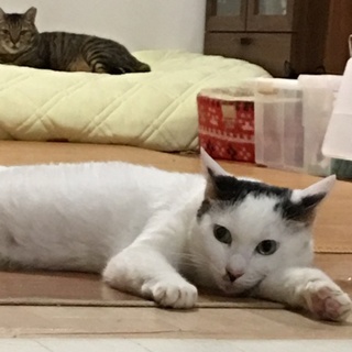 優しいシャイboyたっくん(*^^*)