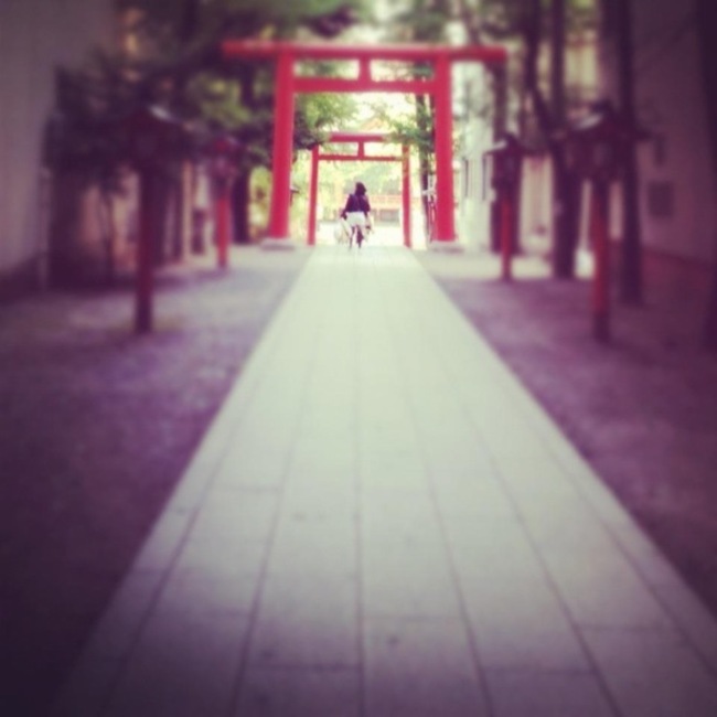 みーちゃんぐーぐーのカバー写真