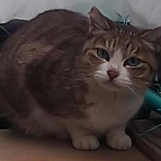 結婚しました！沢山のご応募ありがとうございました。