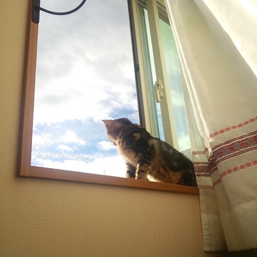 台風一過の青空