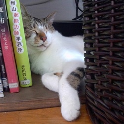 フロントラインの使い方 ゲレゲレさんのペットログ ペットのおうち 月間利用者150万人