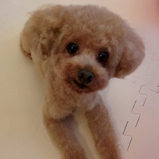 多数のご応募ありがとうございました