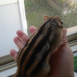 今日は暖かいでちね。