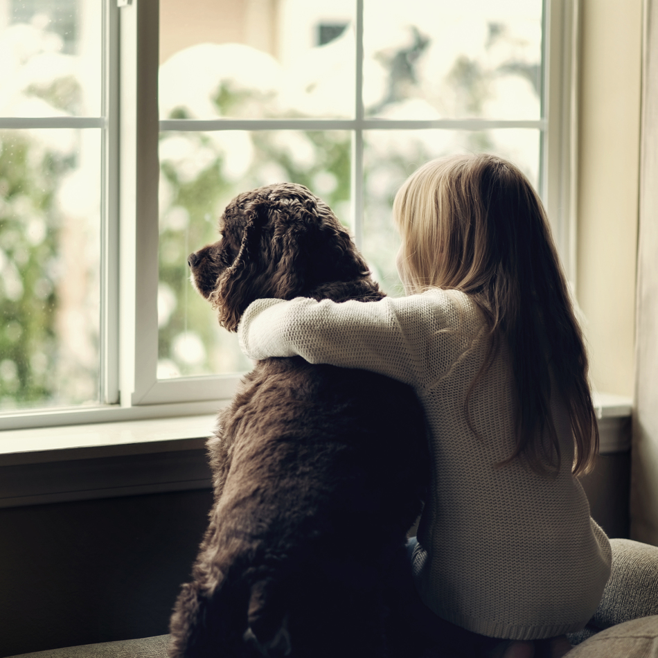 クッキーのカバー写真