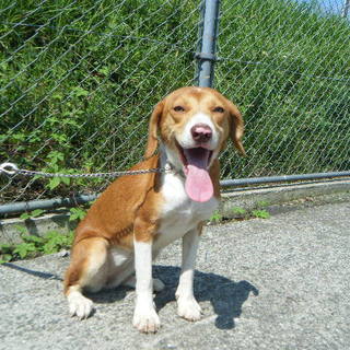 チャームポイントは小さな目♪