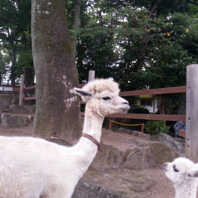 守木太郎のカバー写真