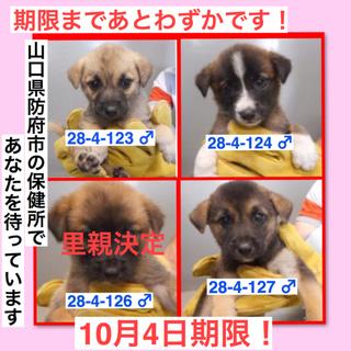 期限まであとわずかです！（1/2）