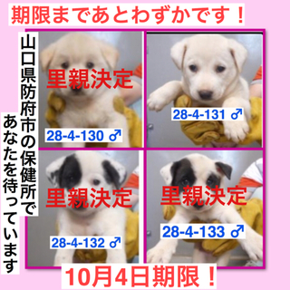 期限まであとわずかです！（2/2）