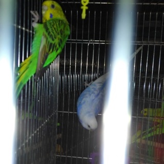 交渉中の為一時募集停止中