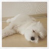 の写真
