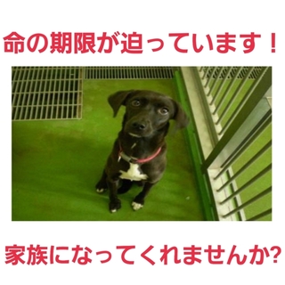 現地でお迎えがありました!ありがとうございます!