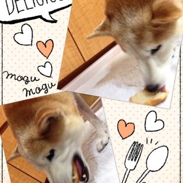 の写真