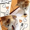 の写真
