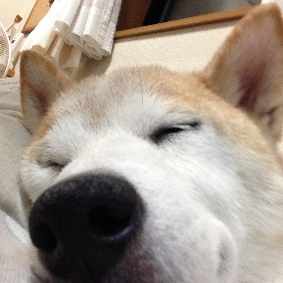 くるみのカバー写真