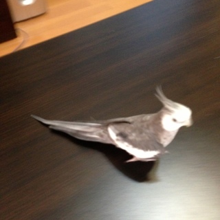 お返事出来なかった方、大変申し訳ありませんでした。