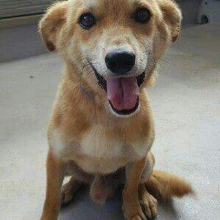 沖縄からやって来たスマイリーミルクル君です。