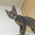 あなたの笑顔を待っています♡