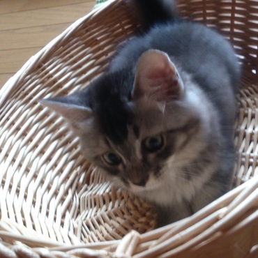 モコ、ホワッホワッ♪