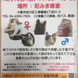 第1回 みるくの会 【猫の里親会】