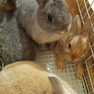 たくさんのご応募ありがとうございました。