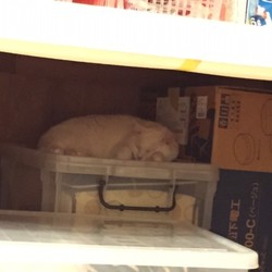 記録更新　接近30ｃｍ