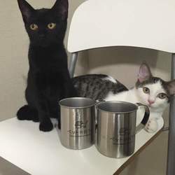 オリジナルマグカップ