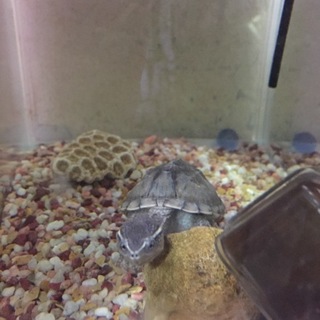 たくさんのご応募ありがとうございました！ 