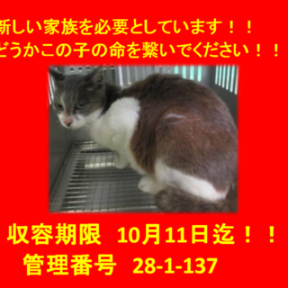 延長をお願いしました！期限10月14日！持込です！