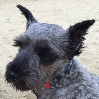 ビビリだけど大人しく穏やかな女の子♪