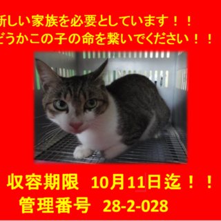 里親決定！！家族ができました(*´▽｀*)