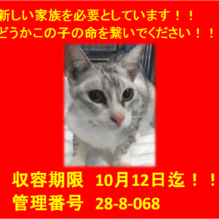 里親決定！！お迎えありがとうございました(^^♪