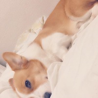 むぎ