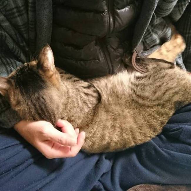 猛獣エディのカバー写真